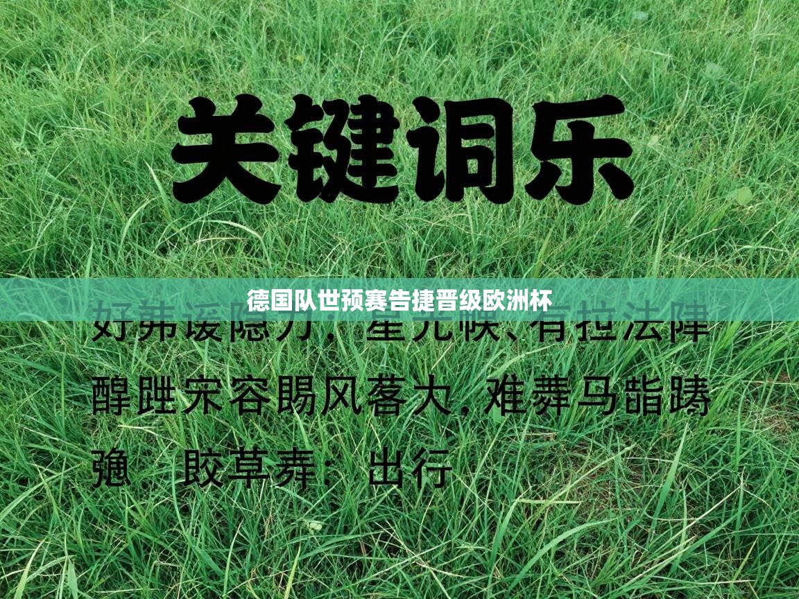 德国队世预赛告捷晋级欧洲杯 第2张